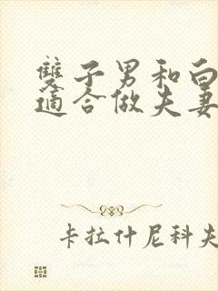 双子男和白羊女适合做夫妻吗