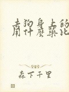 去狗身上的蜱虫用什么药比较好