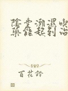 阴囊潮湿吃什么药能起到治疗的效果