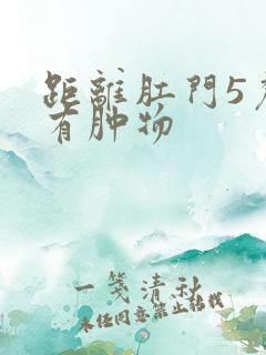 距离肛门5厘米有肿物