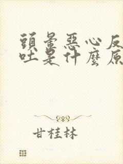 头晕恶心反胃想吐是什么原因