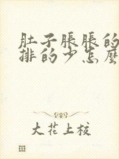 肚子胀胀的排便排的少怎么回事