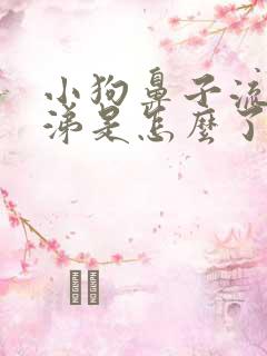 小狗鼻子流黄鼻涕是怎么了