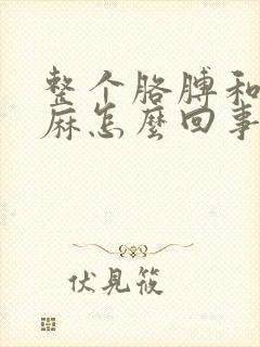 整个胳膊和手发麻怎么回事