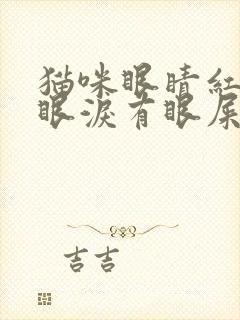 猫咪眼睛红肿流眼泪有眼屎