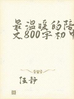 最温暖的陪伴作文800字初中