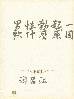 男性勃起一会又软什么原因