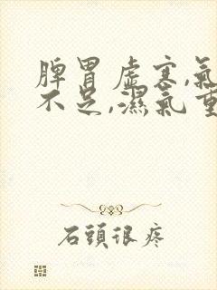 脾胃虚寒,气血不足,湿气重怎么办