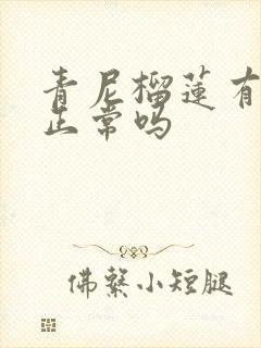 青尼榴莲有点苦正常吗