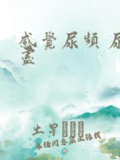 感觉尿频 尿不尽