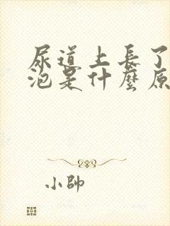 尿道上长了小水泡是什么原因