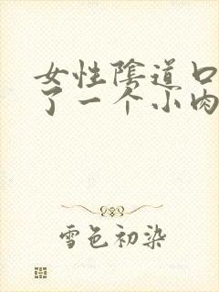 女性阴道口边起了一个小肉疙瘩