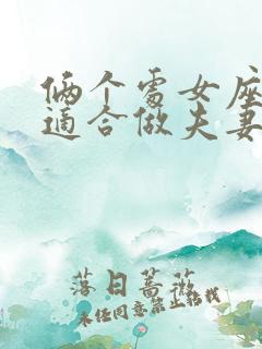 俩个处女座的人适合做夫妻吗?