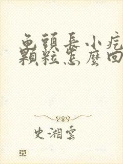 龟头长小疙瘩小颗粒怎么回事