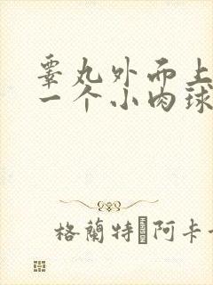 睾丸外面上长了一个小肉球硬硬的