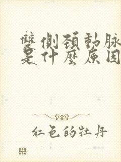 双侧颈动脉斑块是什么原因形成的呢