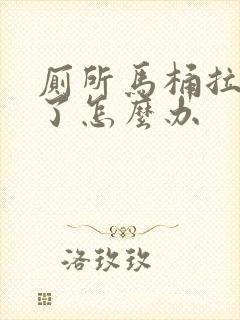 厕所马桶拉屎堵了怎么办