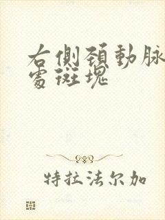 右侧颈动脉分叉处斑块