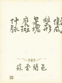 什么是双侧颈动脉斑块形成