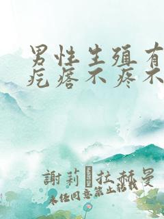 男性生殖有小肉疙瘩不疼不痒