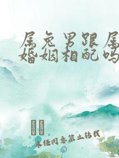 属兔男跟属羊女婚姻相配吗