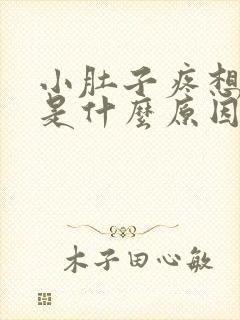 小肚子疼想拉尿是什么原因