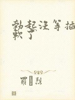 勃起没等插入就软了