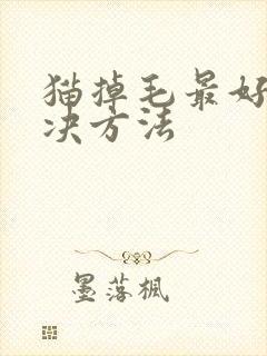 猫掉毛最好的解决方法