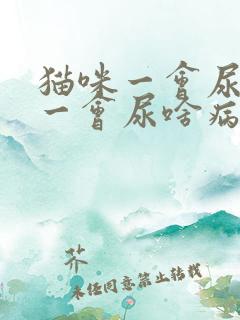 猫咪一会尿一点一会尿啥病