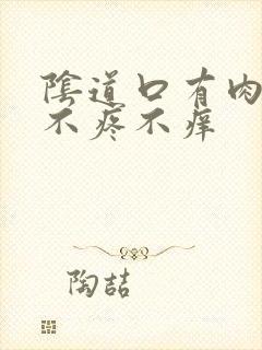 阴道口有肉疙瘩不疼不痒