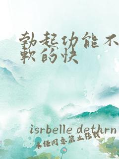 勃起功能不硬 软的快