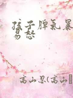 孩子脾气暴躁,易怒