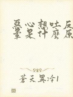 恶心想吐反胃头晕是什么原因