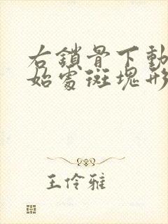 右锁骨下动脉起始处斑块形成