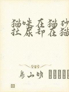 猫咪在猫砂盆里拉尿却在猫砂盆外拉屎