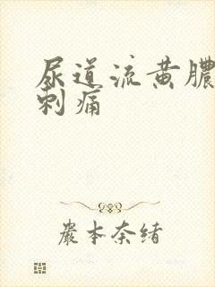 尿道流黄脓有点刺痛