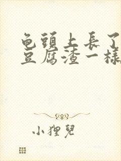 龟头上长了白色豆腐渣一样的东西