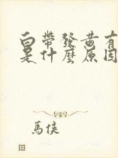 白带发黄有味道是什么原因引起