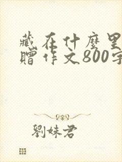 藏在什么里的馈赠作文800字初中