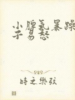 小脾气暴躁的孩子易怒