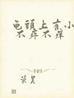 龟头上有小疙瘩 不疼不痒