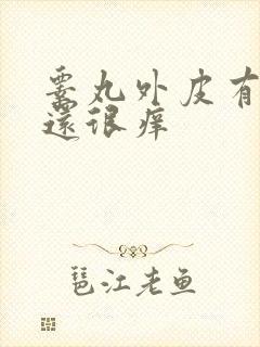 睾丸外皮有疙瘩还很痒