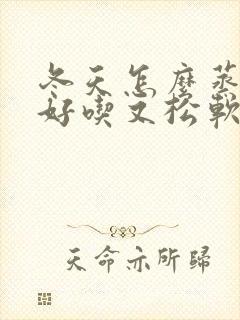 冬天怎么蒸馒头好吃又松软