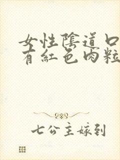 女性阴道口里面有红色肉粒