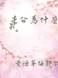 老公为什么不理我