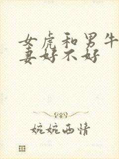 女虎和男牛做夫妻好不好