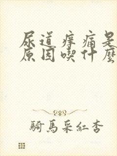 尿道痒痛是什么原因吃什么好