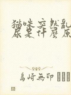 猫咪突然乱拉乱尿是什么原因引起的