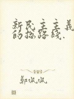 新民主主义革命的总路线.