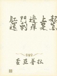 肛门边上起疙瘩还刺痒是怎么回事